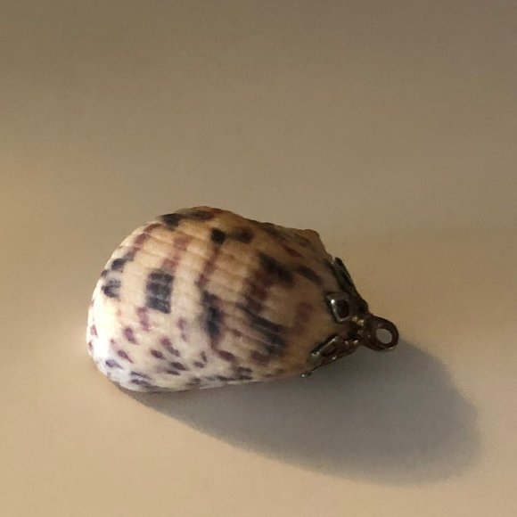 Seashell Pendant Necklace with Gold Fascinator - Picture 4 of 5